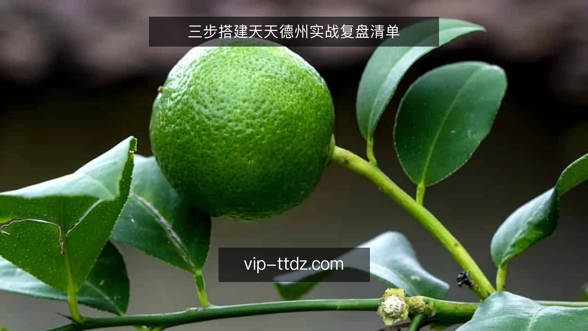 三步搭建天天德州实战复盘清单